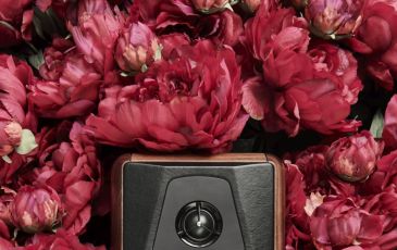Minima Amator II